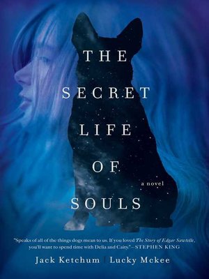cover image of The Secret Life of Souls